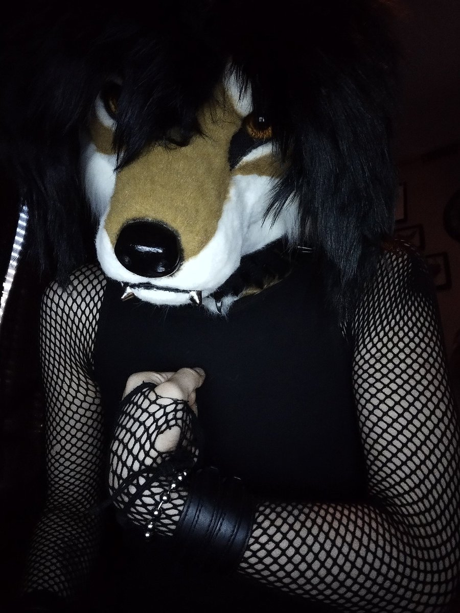 𓃦★*HUSKY*HARDCORE* !!★𓃥 tweet media