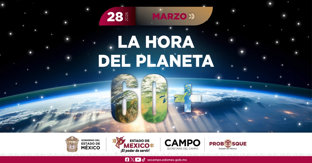 PROBOSQUE tweet media