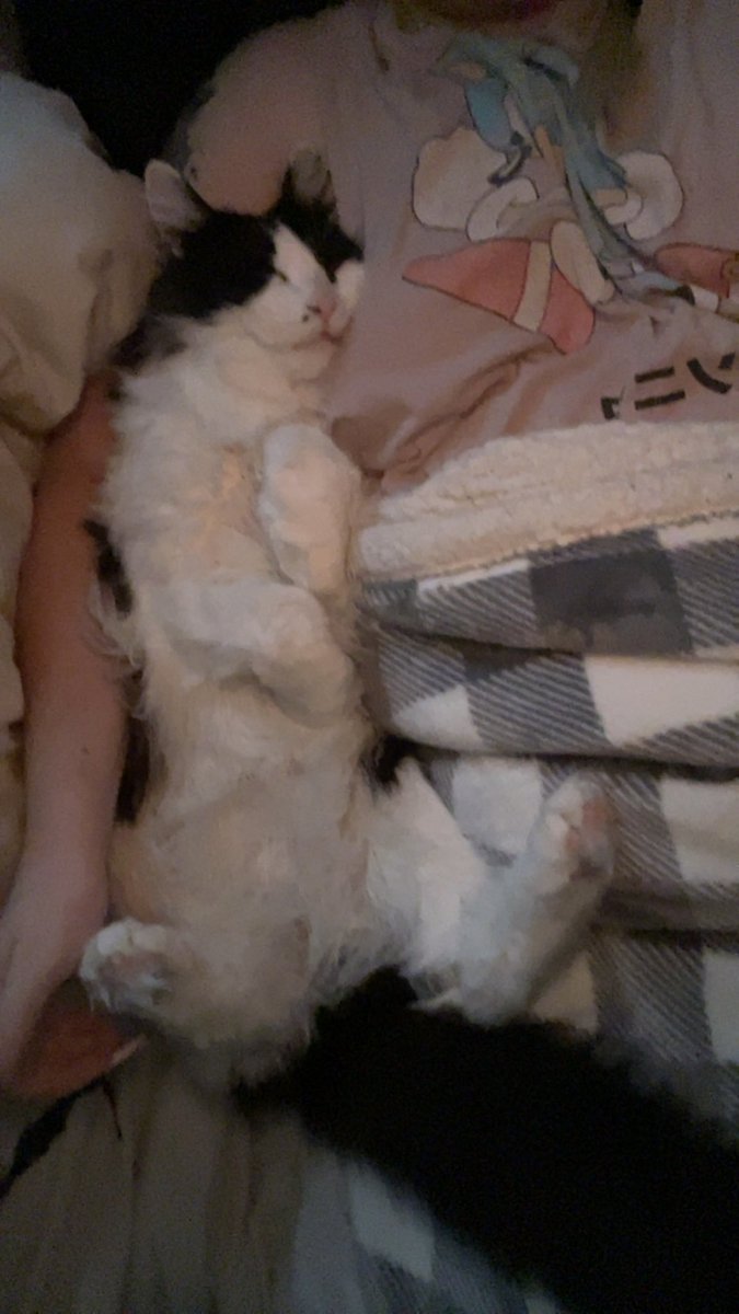 pepper 🌶️ & lugosi 🧛🏻‍♂️ tweet media