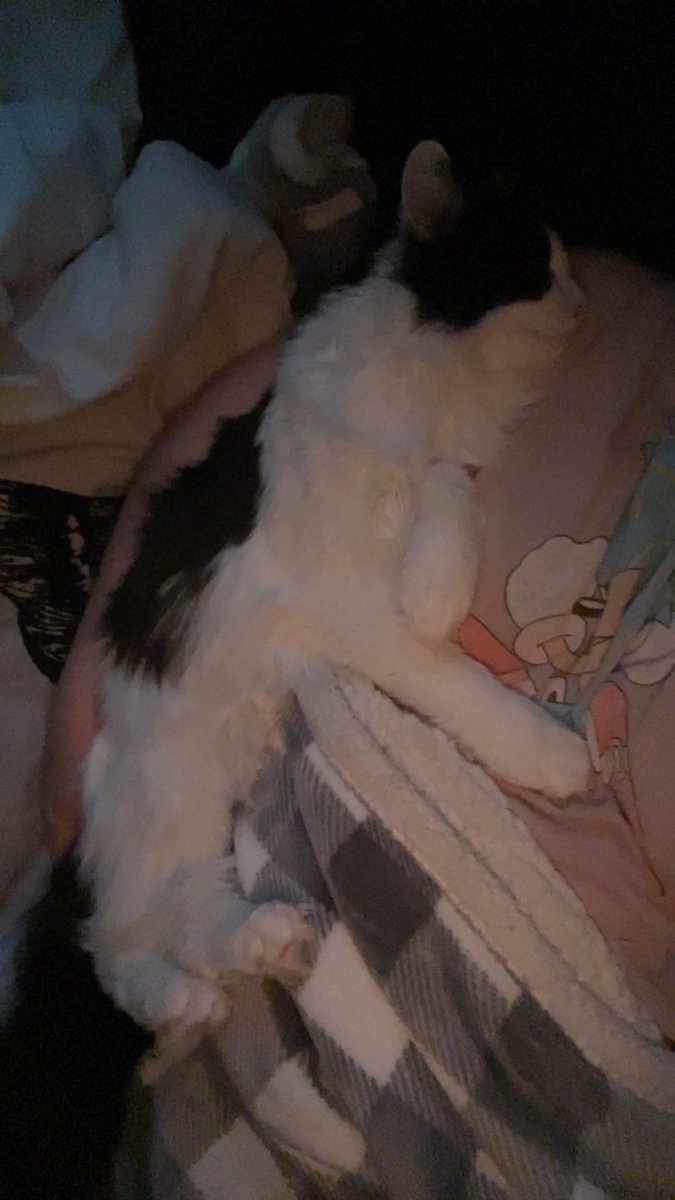 pepper 🌶️ & lugosi 🧛🏻‍♂️ tweet media