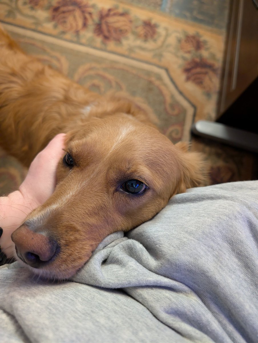 Kaladin :3 tweet media