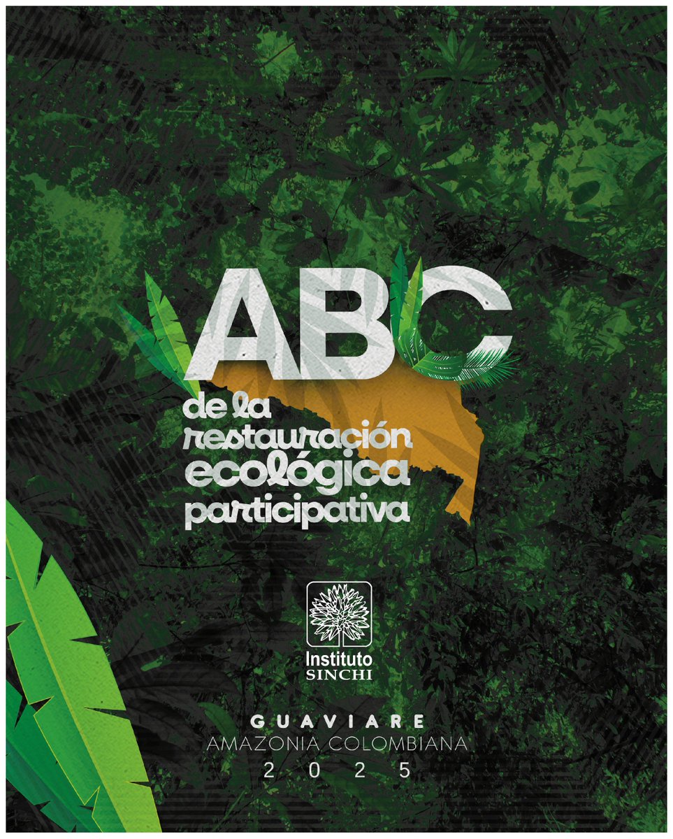 InstitutoSINCHI's tweet photo. En el Instituto SINCHI promovemos el conocimiento que se aplica, por eso te invitamos a consultar  el “ABC de la Restauración Ecológica Participativa”, una guía práctica para entender y aplicar, paso a paso, la recuperación de ecosistemas amazónicos degradados.

📘 Desde la planificación de proyectos hasta la selección de especies nativas y estimación de costos, esta herramienta está pensada para comunidades, técnicos, estudiantes y quienes trabajan por una Amazonia en pie.

💚 Ciencia útil, con y para las comunidades.

👉 Descárguela gratis en nuestra web y súmese a la restauración del bosque amazónico:
https://t.co/6mTpHkCdqa

#InstitutoSINCHI #RestauraciónEcológica #AmazoniaSostenible 

@MinAmbienteCo