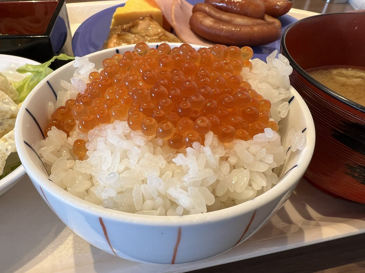 新潟のスイカ農家カネダマサキ tweet media