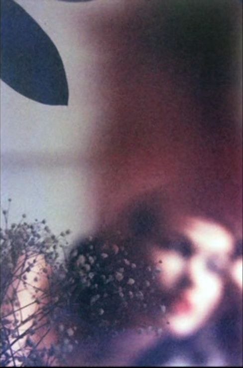 literland tweet media