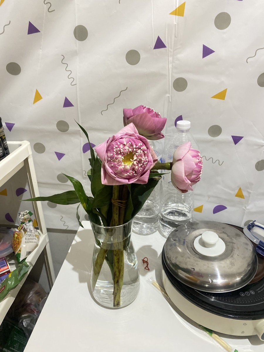 fluffii ☁️ tweet media