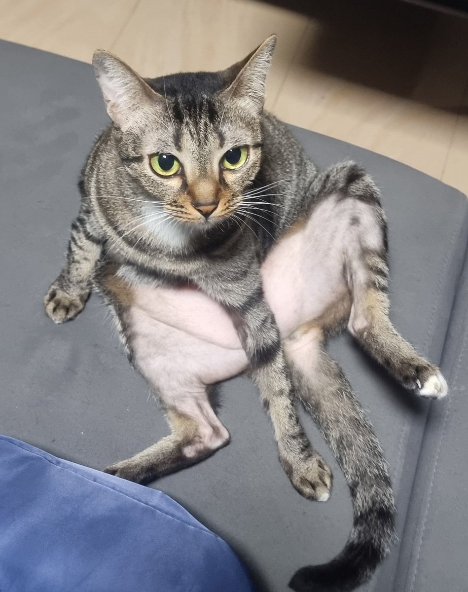 feller hour tweet media