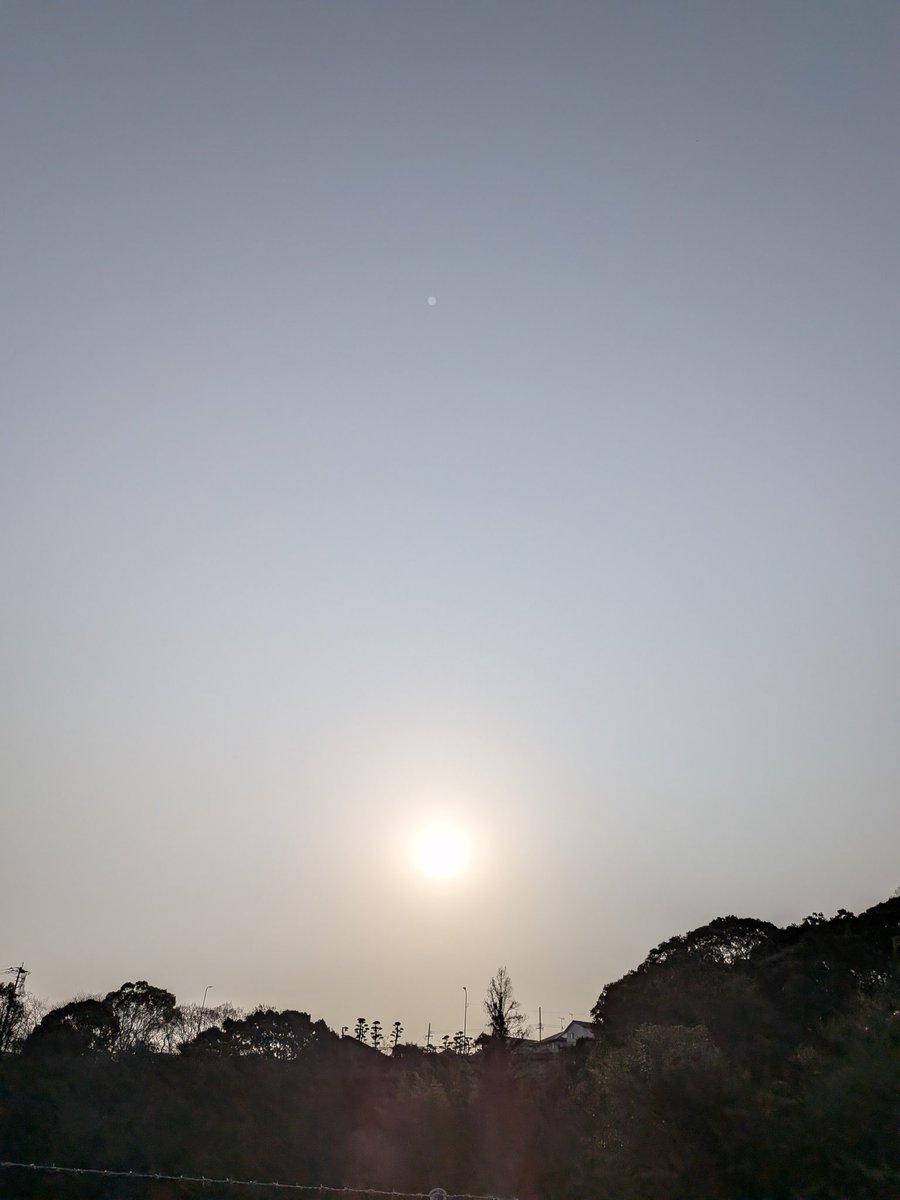 たたた tweet media