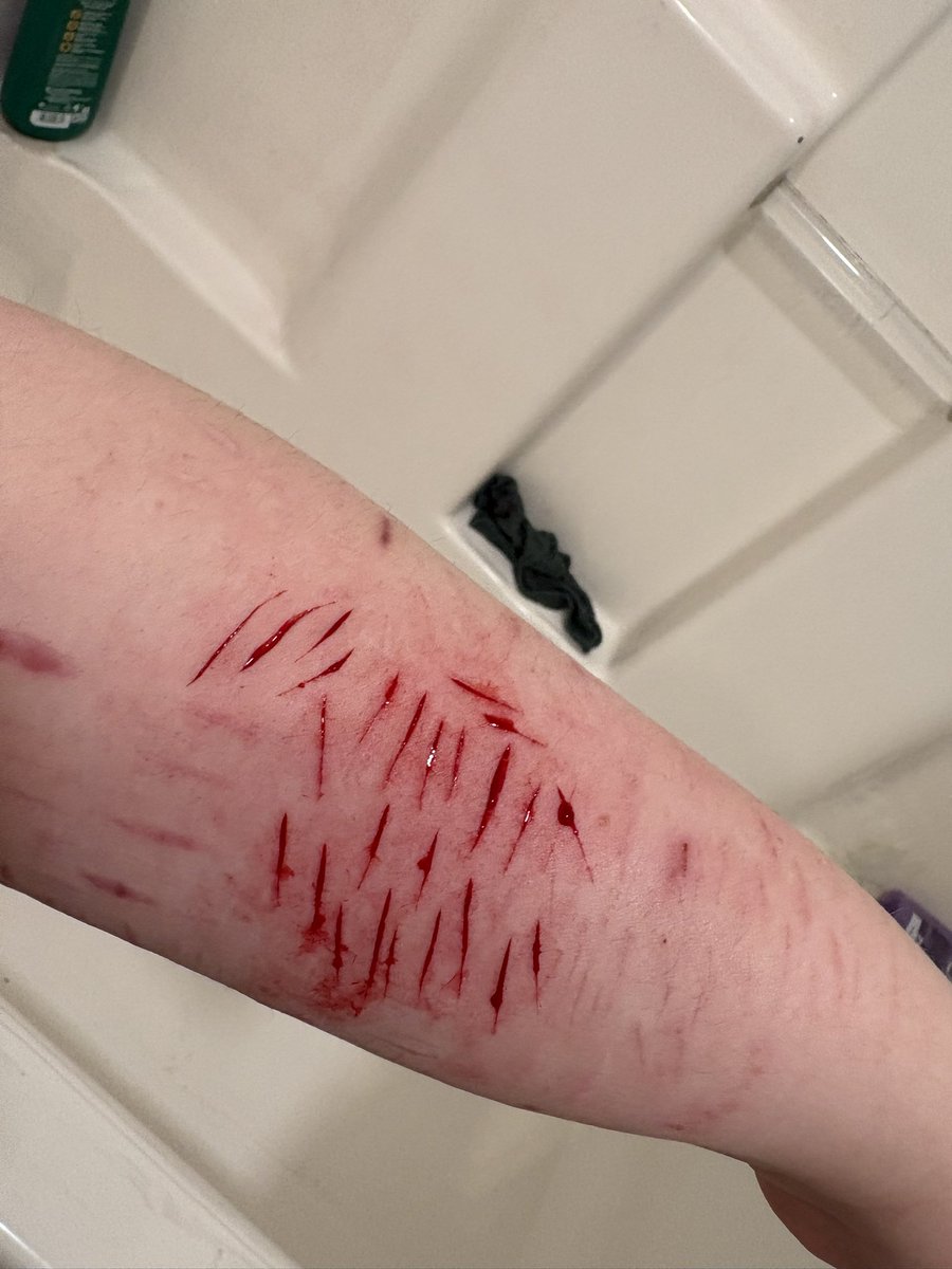 𑁤 𝜗𝜚 an of shedtwt .ᐟ.ᐟ 𓇢𓆸 tweet media