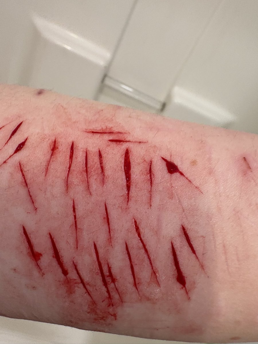 𑁤 𝜗𝜚 an of shedtwt .ᐟ.ᐟ 𓇢𓆸 tweet media