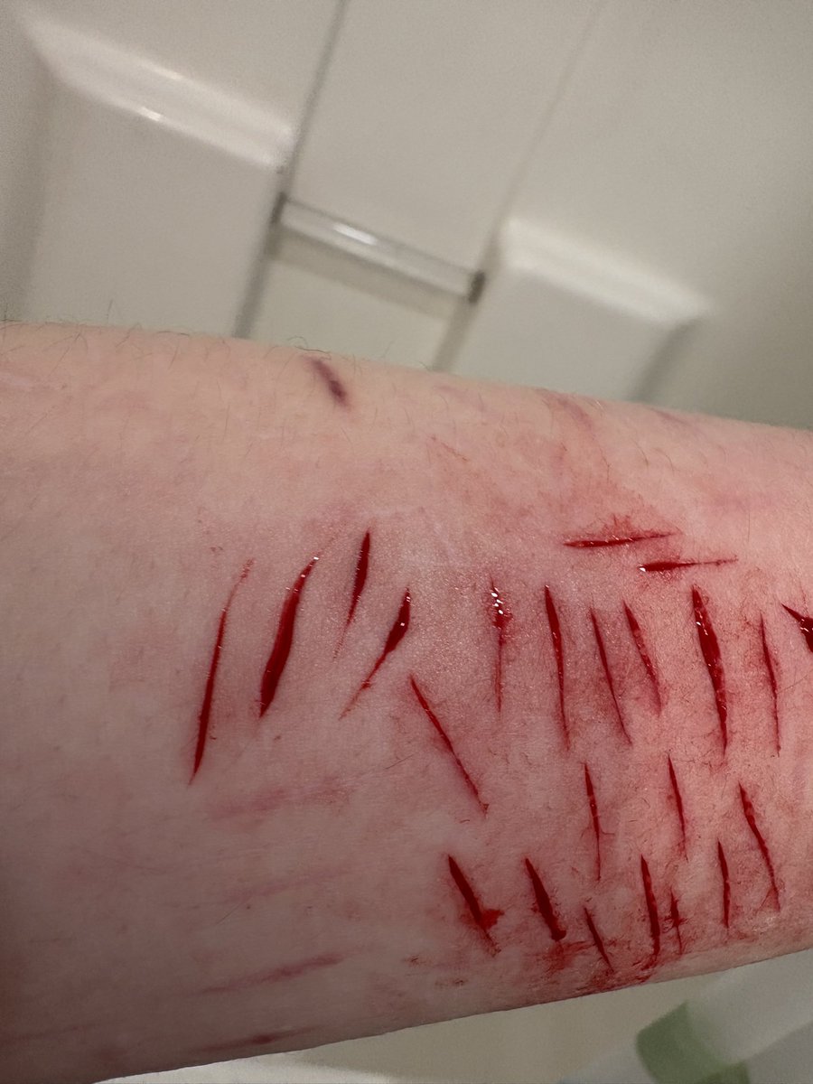 𑁤 𝜗𝜚 an of shedtwt .ᐟ.ᐟ 𓇢𓆸 tweet media