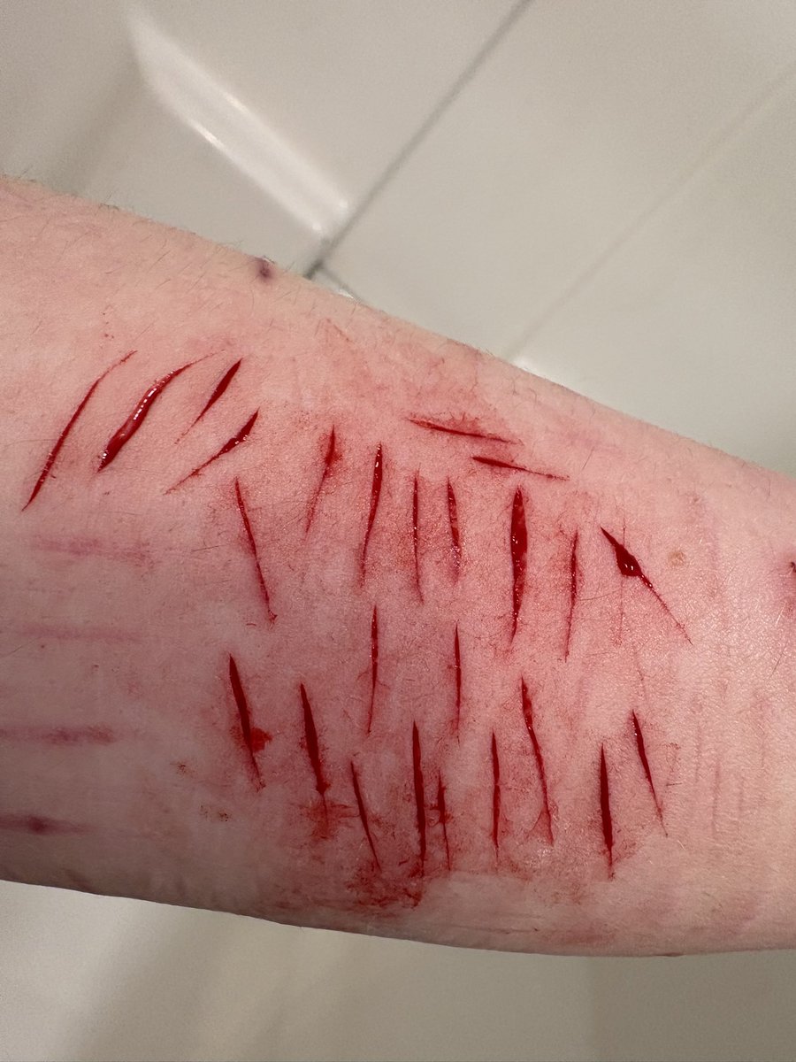 𑁤 𝜗𝜚 an of shedtwt .ᐟ.ᐟ 𓇢𓆸 tweet media