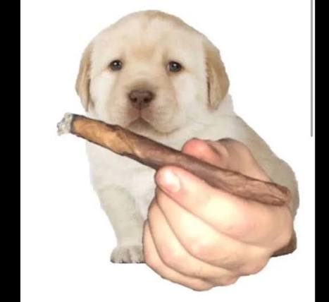 フ乇尺乇爪丨卂卄. tweet media