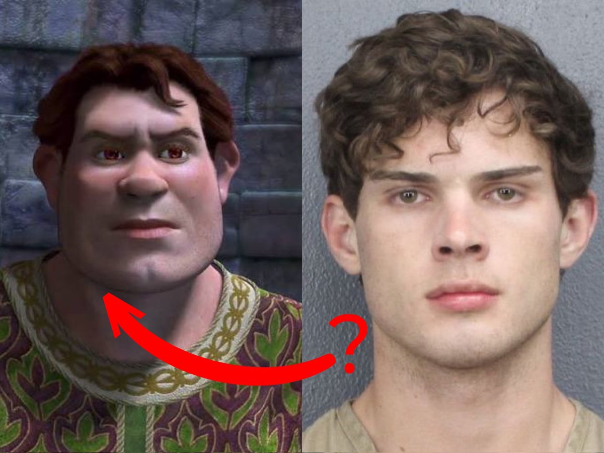 ✦ *. ✷｡·.* ☾⋆°✩ tweet media