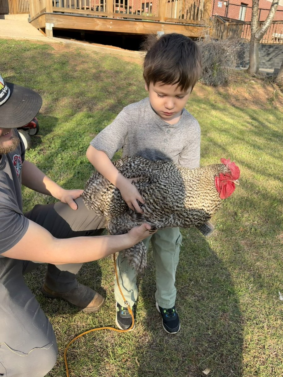 EB Thompson tweet media