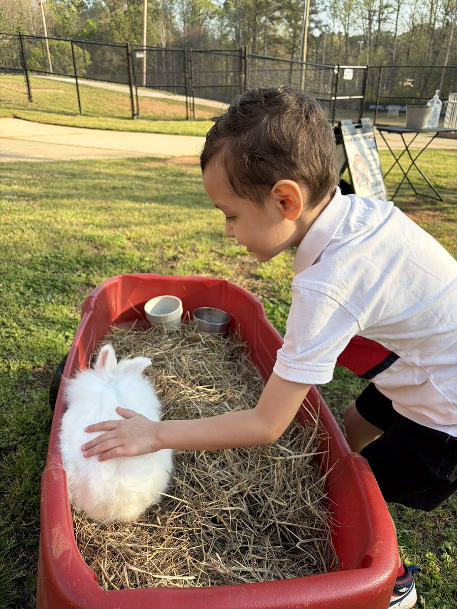 EB Thompson tweet media