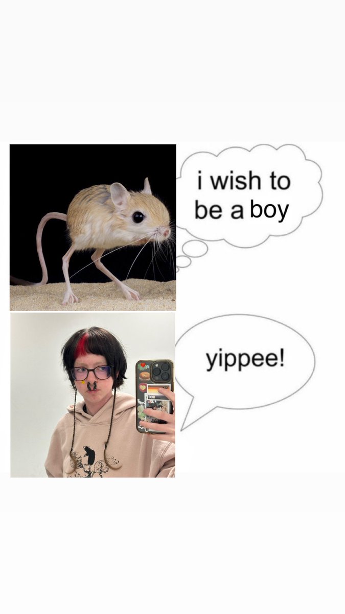 kilroy 🐠 tweet media