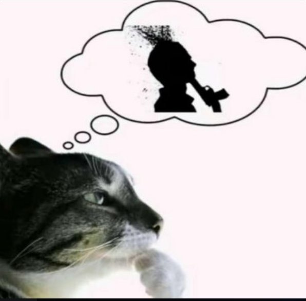 El pibe del pórtico tweet media