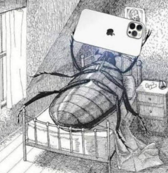 Shise tweet media