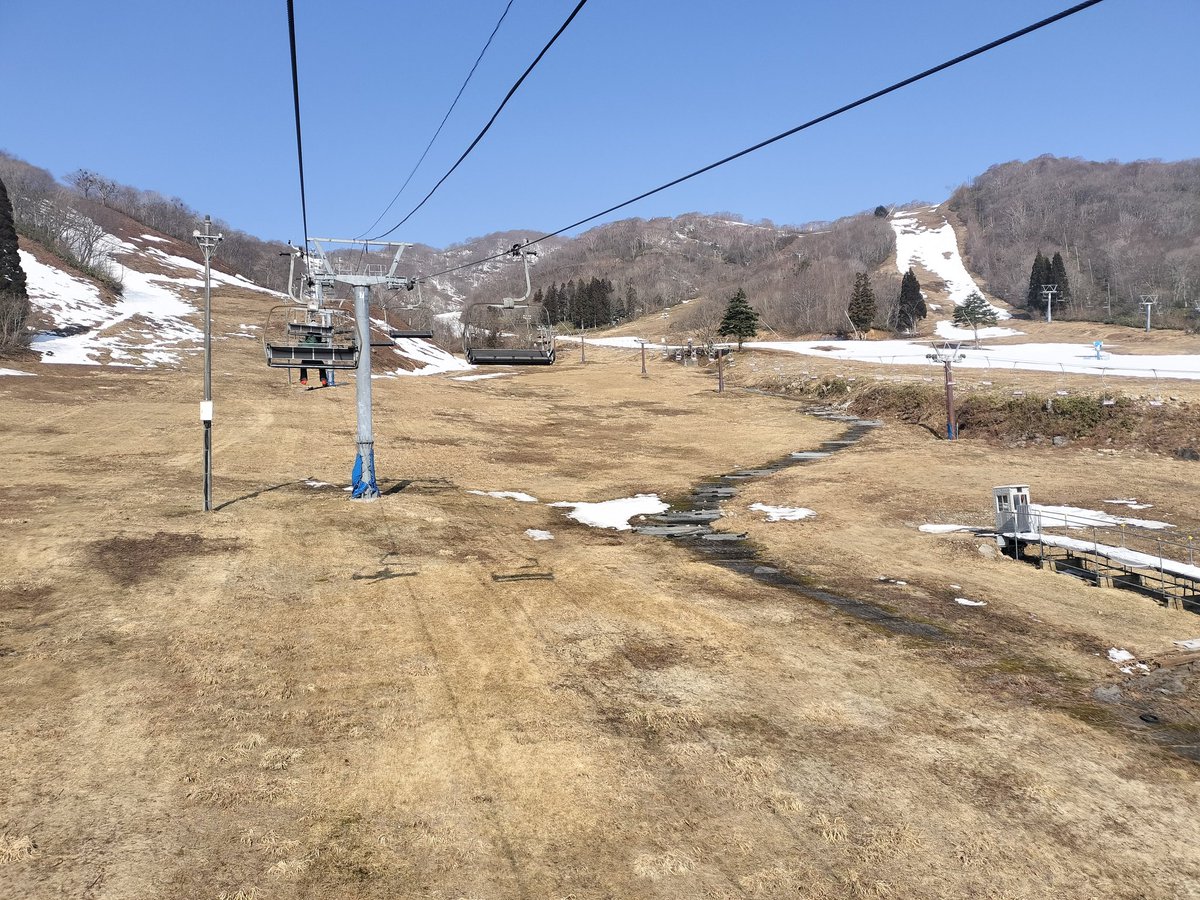 どーむ tweet media