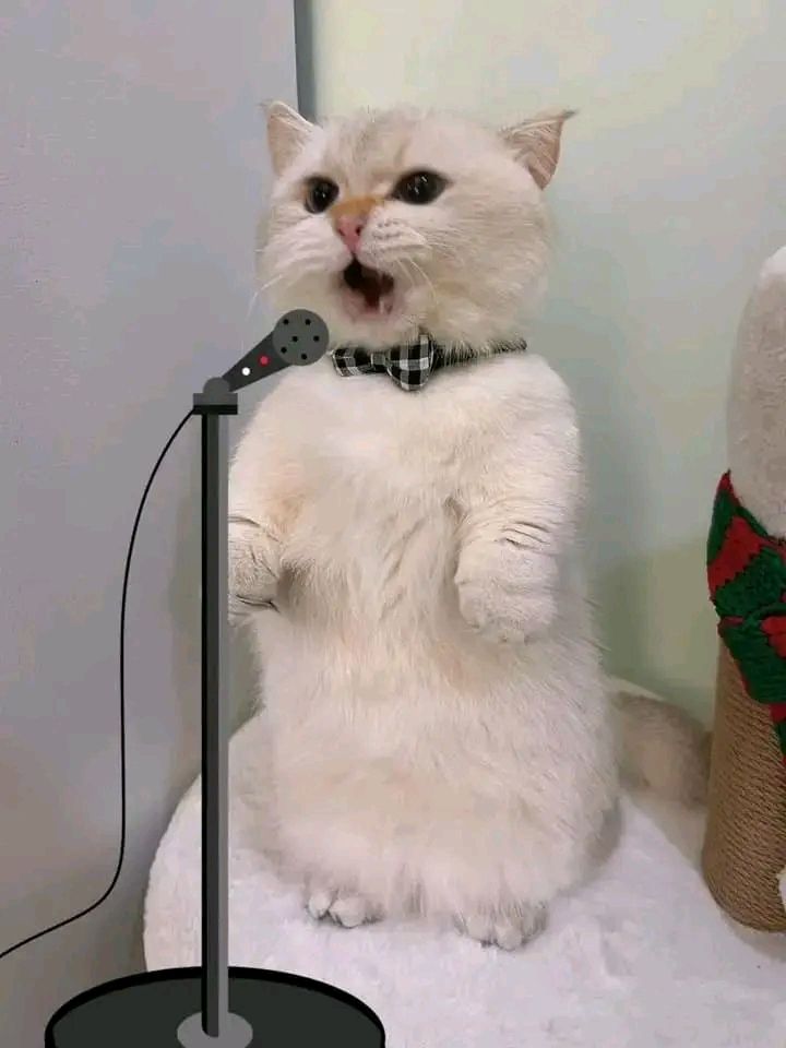Sing with me 🎤