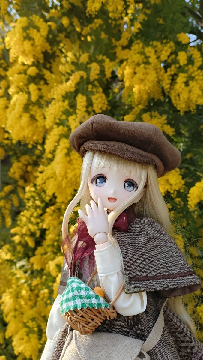 大道寺知夫 tweet media