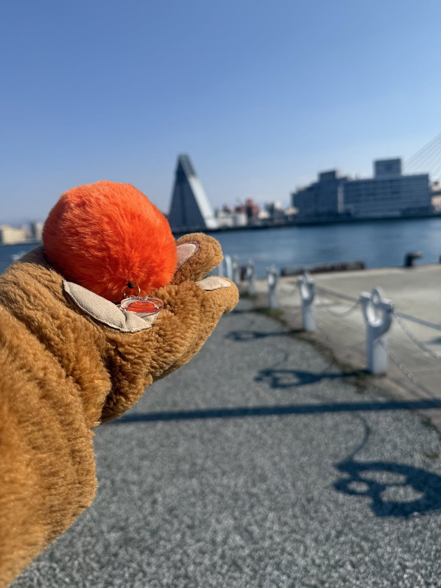 【公式】クイッキー・デッチ tweet media