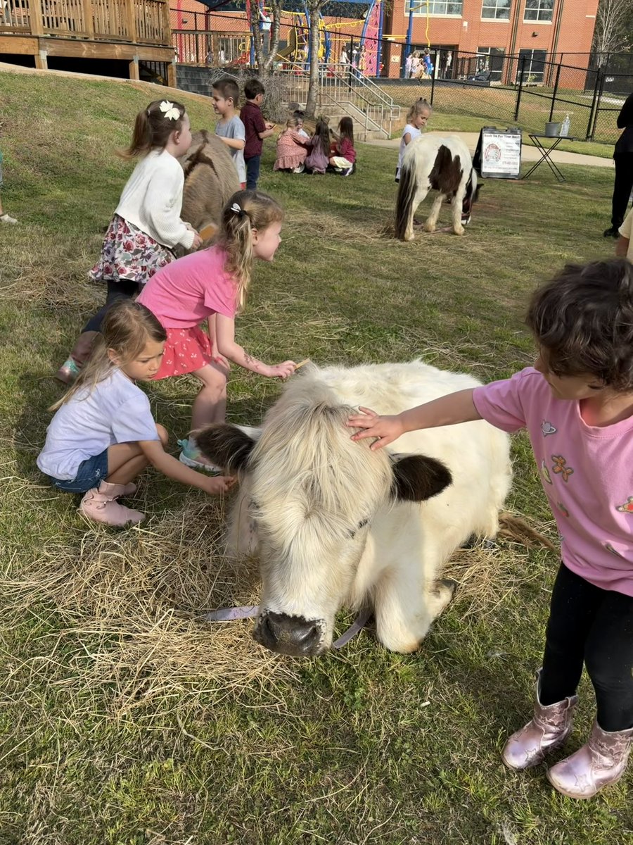 EB Thompson tweet media