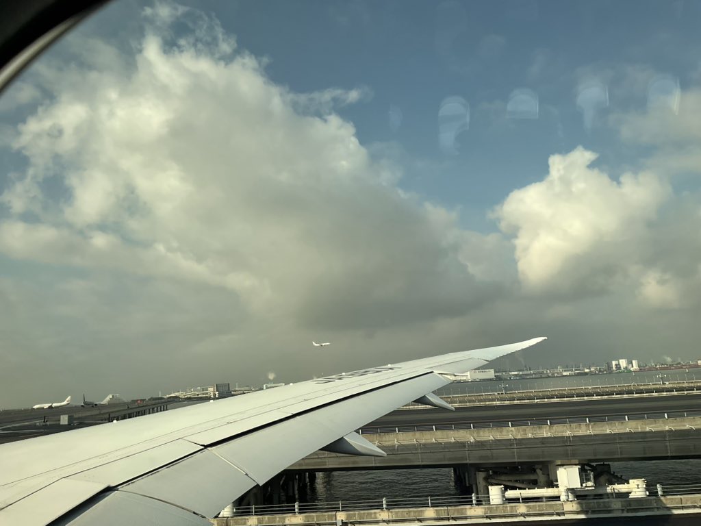 獣王(´･ω･｀)ﾉｼ tweet media