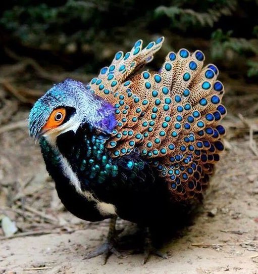 James R Us tweet media