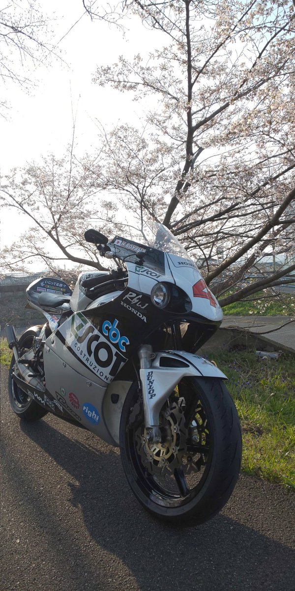 ２st命 tweet media