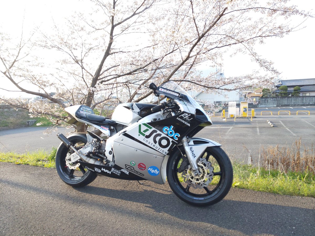 ２st命 tweet media