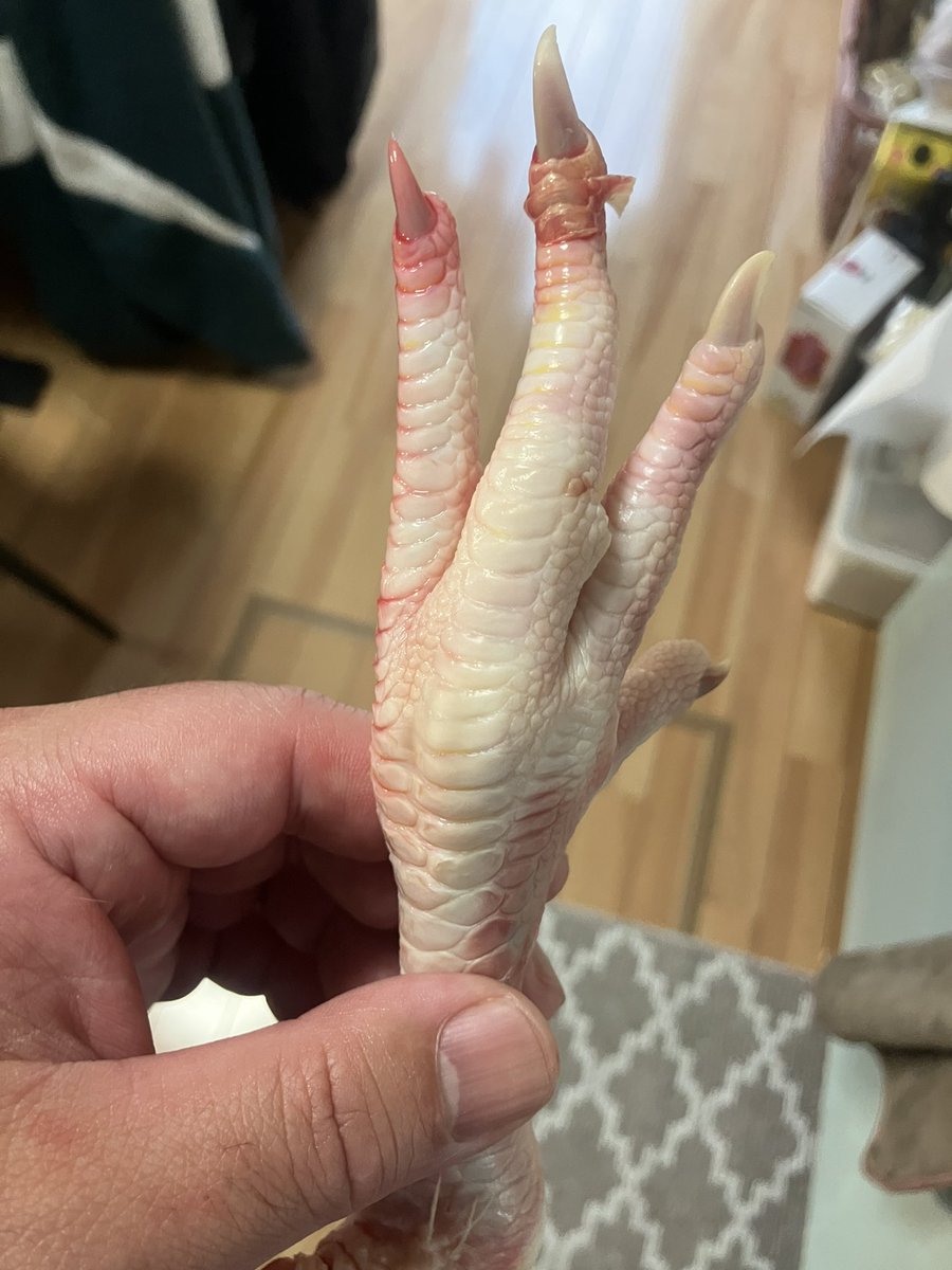 きょうだいムーン×パートナームーン tweet media