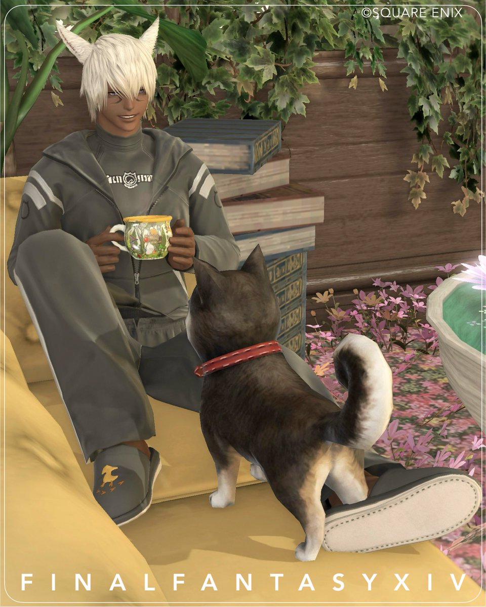 ミキ🌱Ferne tweet media