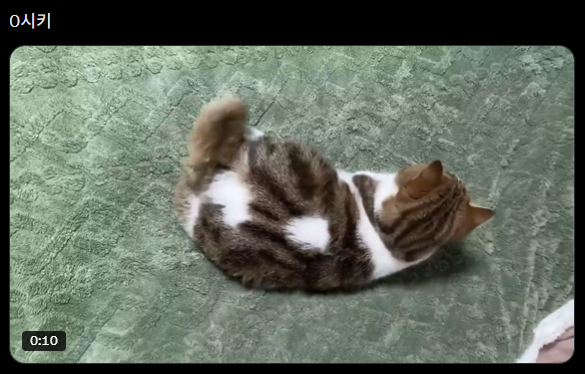 I LOVE 니시킹 tweet media