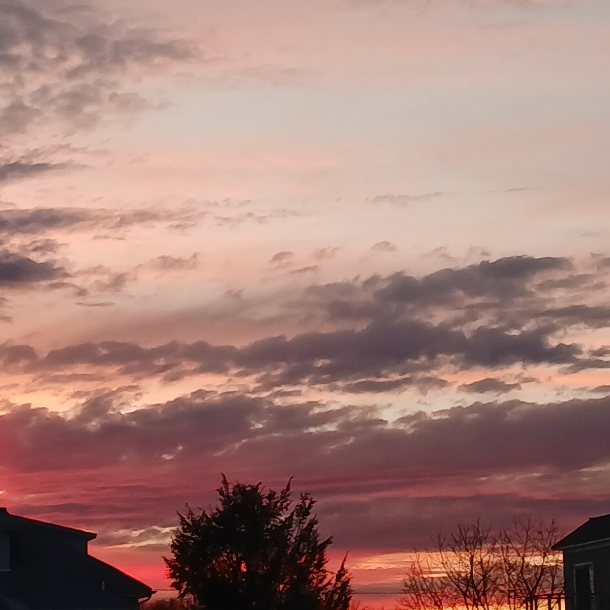 Jennifer Lee Nelson tweet media