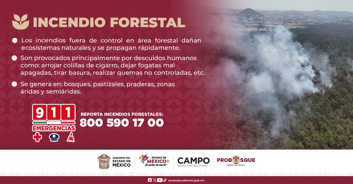 PROBOSQUE tweet media