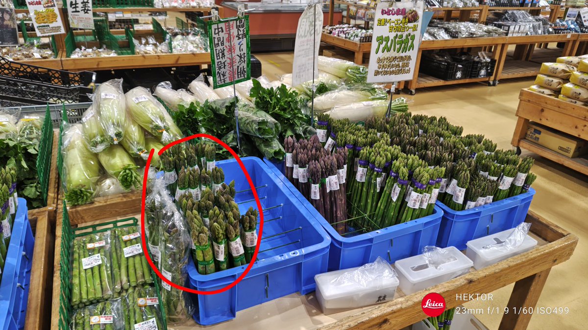 糸島産アスパラおじさん tweet media