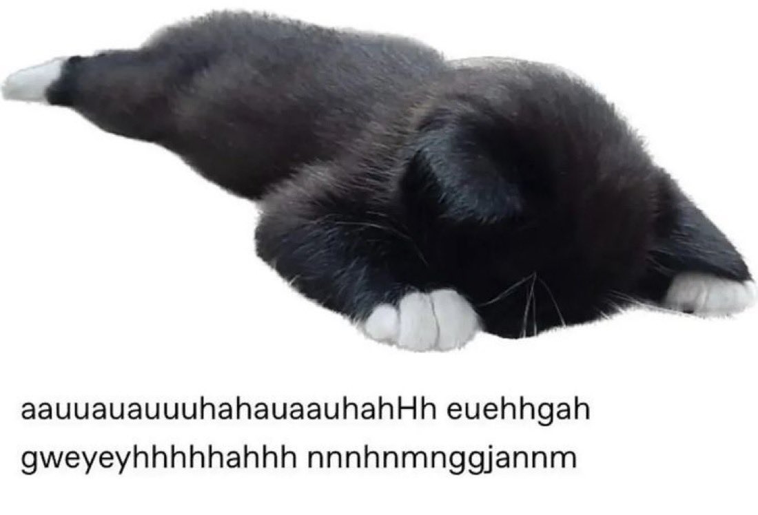 imei ⁽⁽ଘ( ˊᵕˋ )ଓ⁾⁾ tweet media