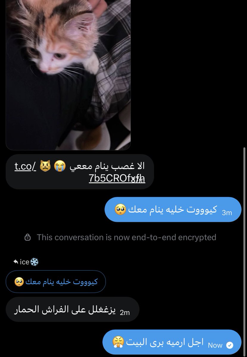 ice❄️ tweet media