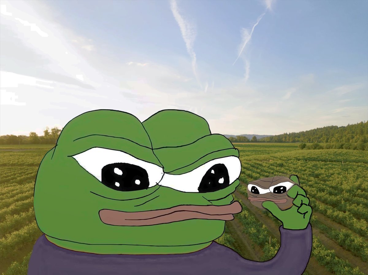 +🐸🔢 Lowcode Life 🔢🍀+ tweet media