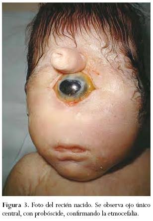 gerardo velazquez tweet media