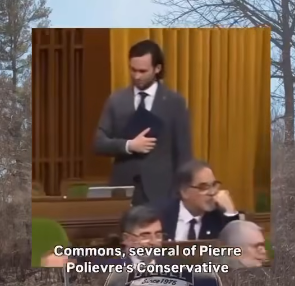 Brooke 🥀 🇺🇦🇨🇦🏳️🌈🇬🇱Proud Canadian tweet media