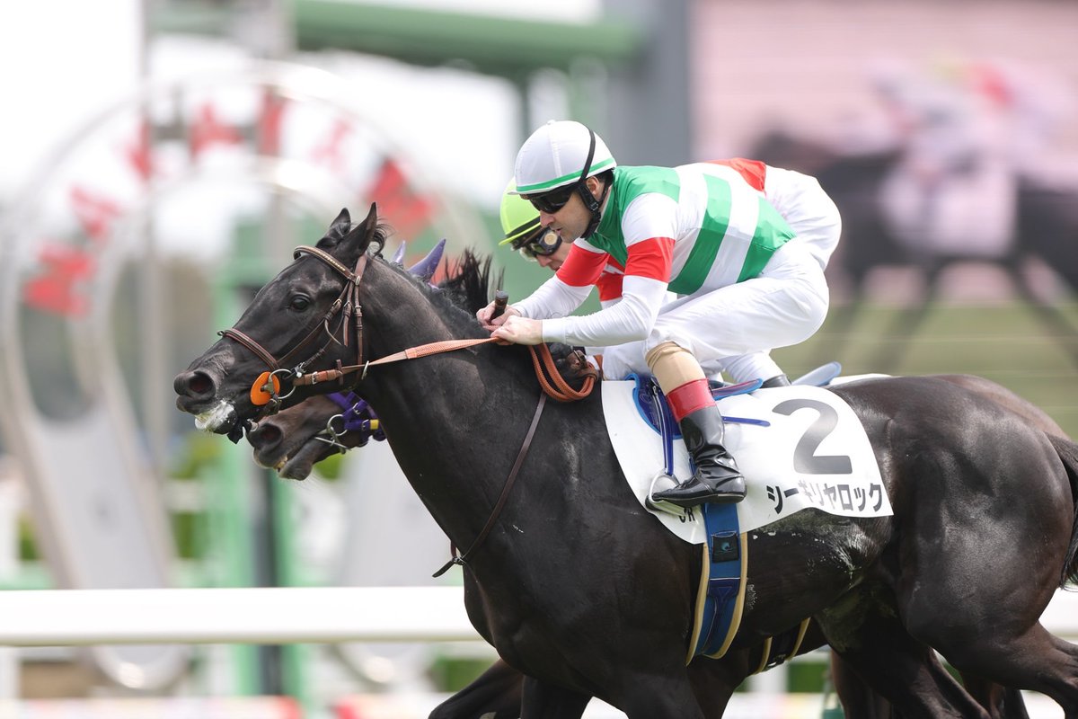 田中博康厩舎【公式】 tweet media