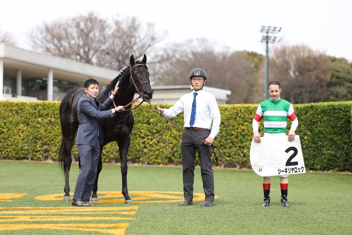 田中博康厩舎【公式】 tweet media