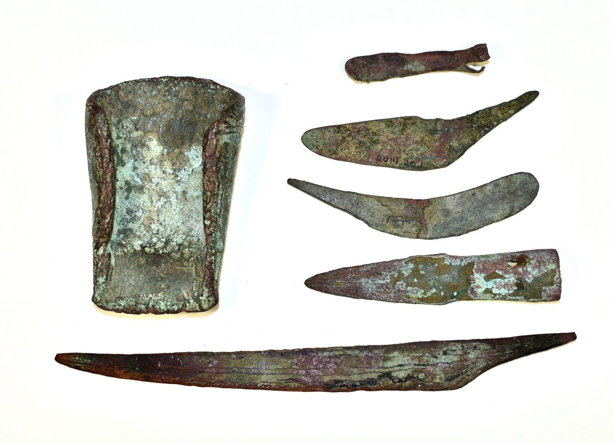 CopperViolette tweet media