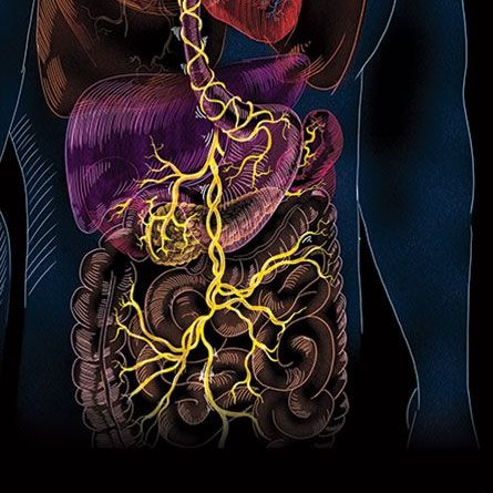 BasedBiohacker tweet media