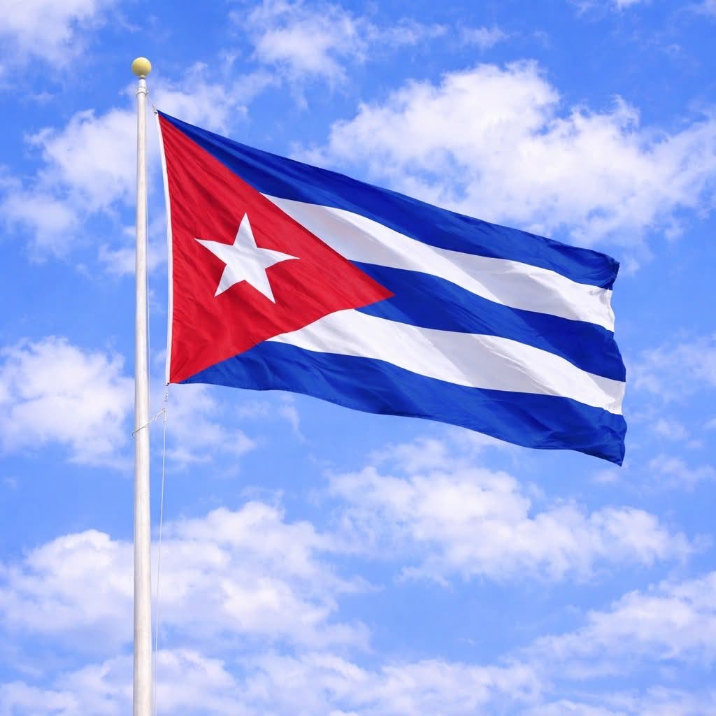 Tradutor de Direita tweet media