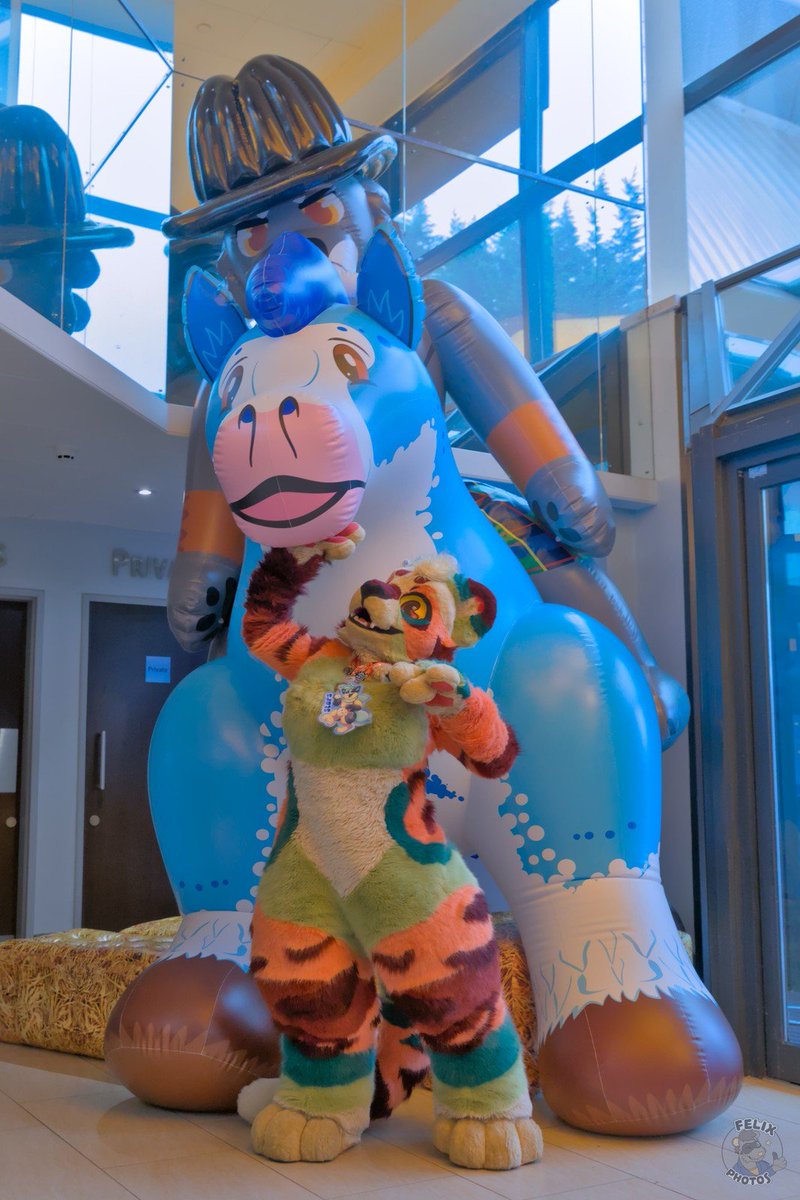 Shark 🔜 CFz26 tweet media