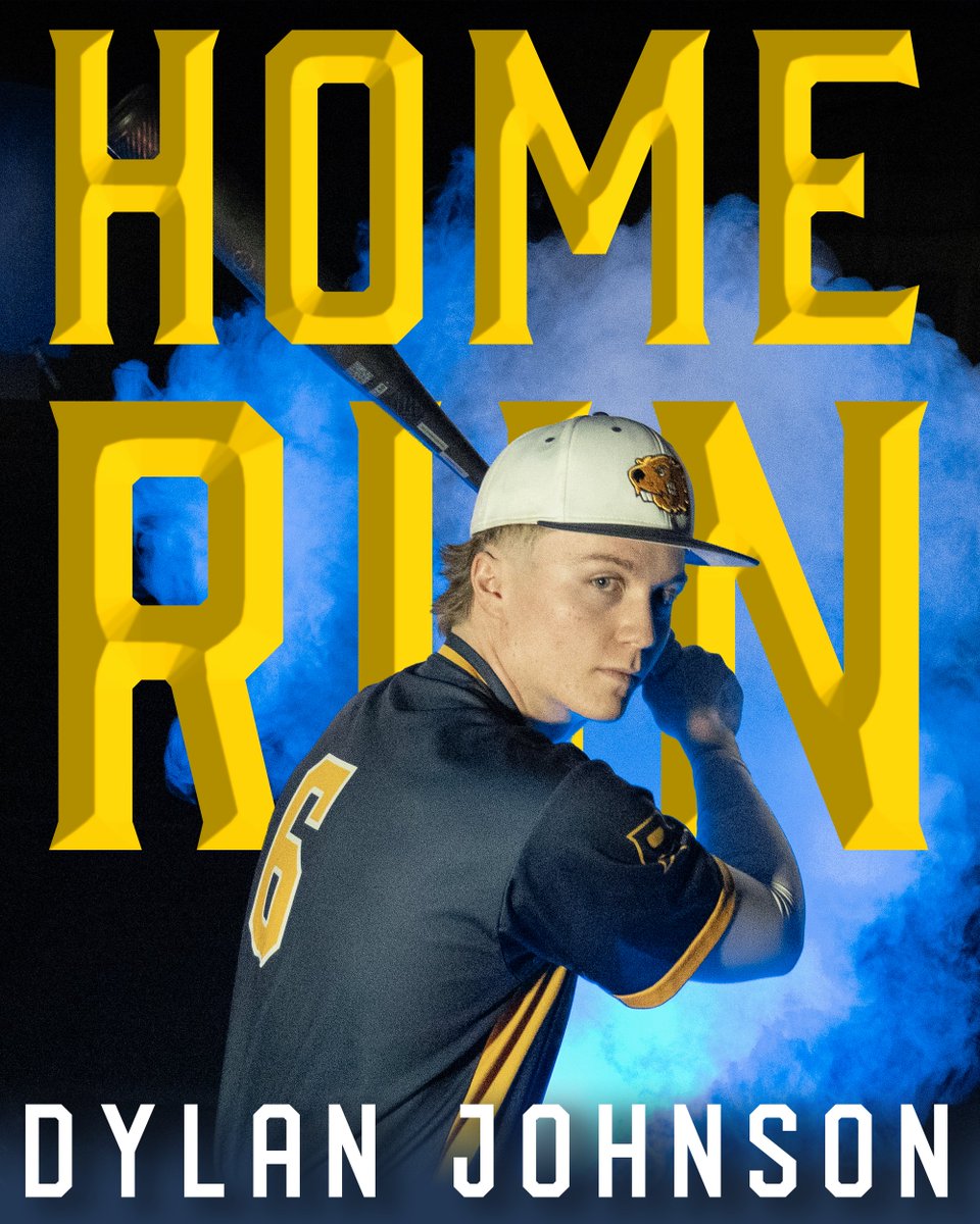 BVU Baseball tweet media