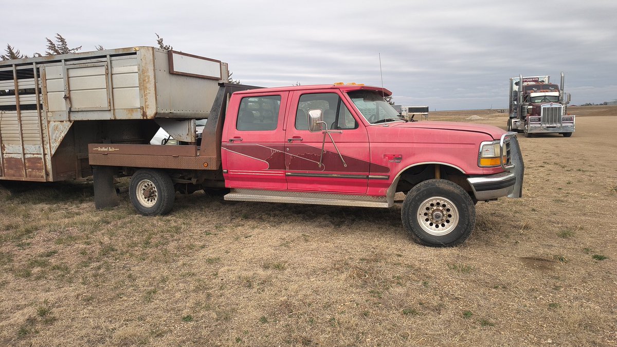 Professional Bovine Relocater tweet media